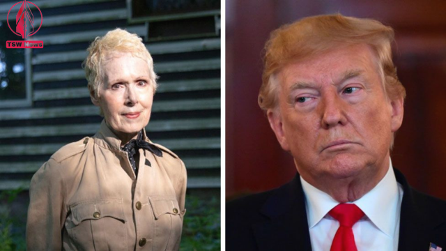Ms Carroll has accused Mr Trump of sexually assaulting her in the 1990s