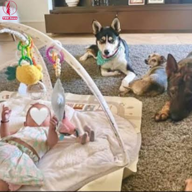 Through her Instagram account, Priyanka Chopra delighted her fans by sharing a heartwarming snapshot of her precious baby girl, Malti, joyfully playing with her beloved dog, Gino.