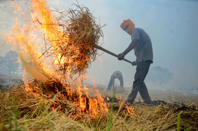 Supreme Court Urges Punjab Government for Immediate Action Against Stubble Burning Amid Delhi's Severe Air Pollution