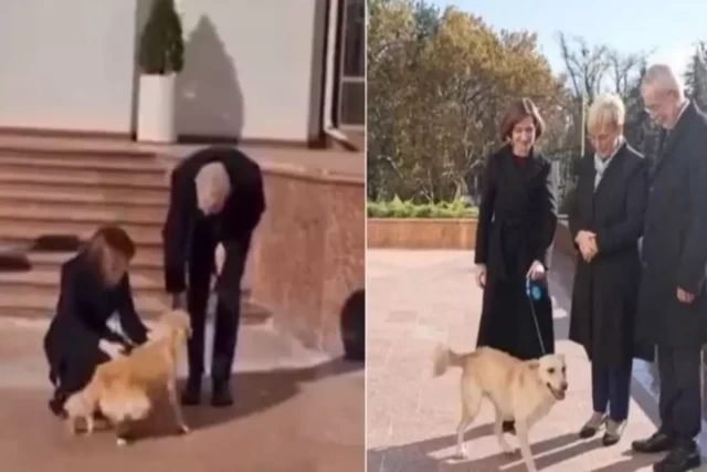 Moldovan President's Dog Bites Austrian President During Visit