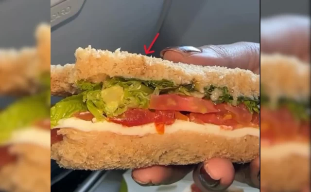 IndiGo Passenger Discovers Screw in Sandwich; Airline Reacts Promptly