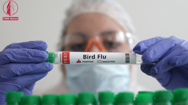 Bird flu spreads to new countries, threatens non-stop ‘war’ on poultry