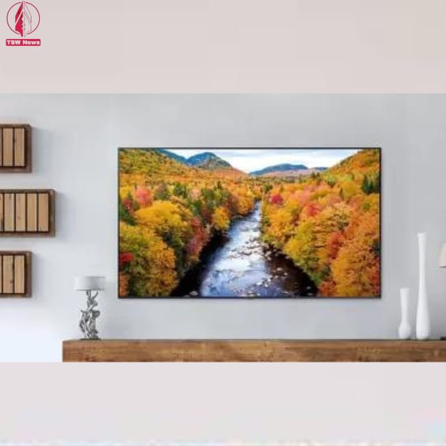 Samsung QN90B QLED vs. LG C2 OLED: Which TV Is Best for You