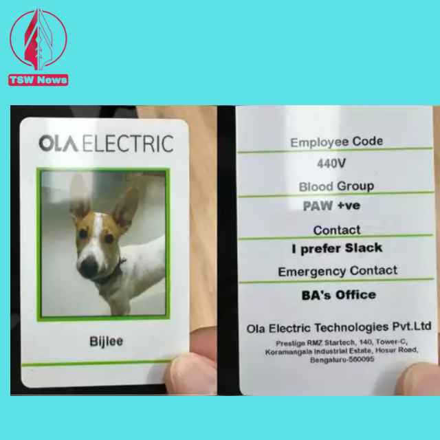 Dog as employee in Ola