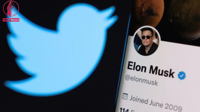 An illustration showing the Twitter logo and Elon Musk's profile on the social media platform