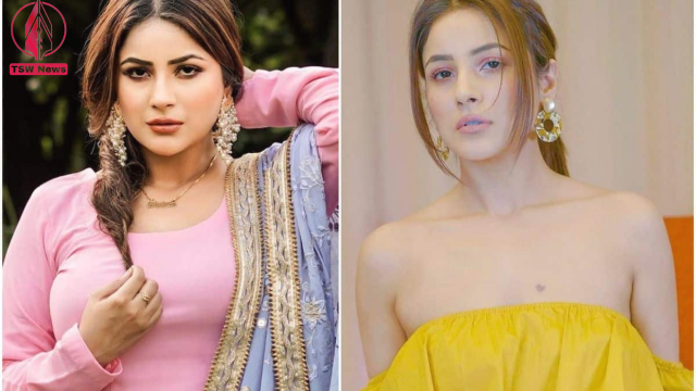 Shehnaaz Gill Finally Reveals The Real Reason Behind Losing Weight, Blames it on The Industry