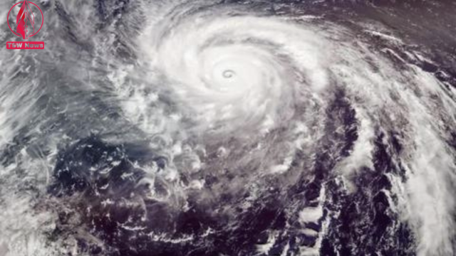 Odisha govt asks districts to be ready amid cyclone forecastA