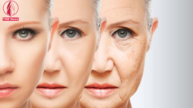 The Ultimate Guide to Fighting the Signs of Skin Aging