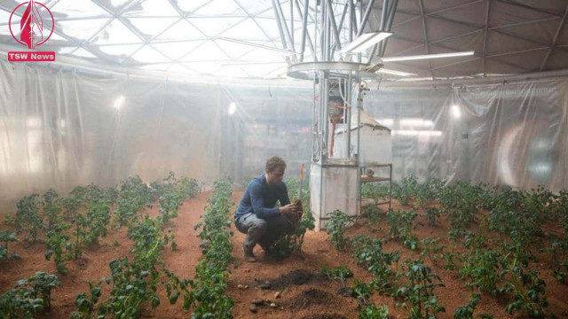 Mark Watney (played by Matt Damon) in his greenhouse in ‘The Martian’. Photographs from Alamy