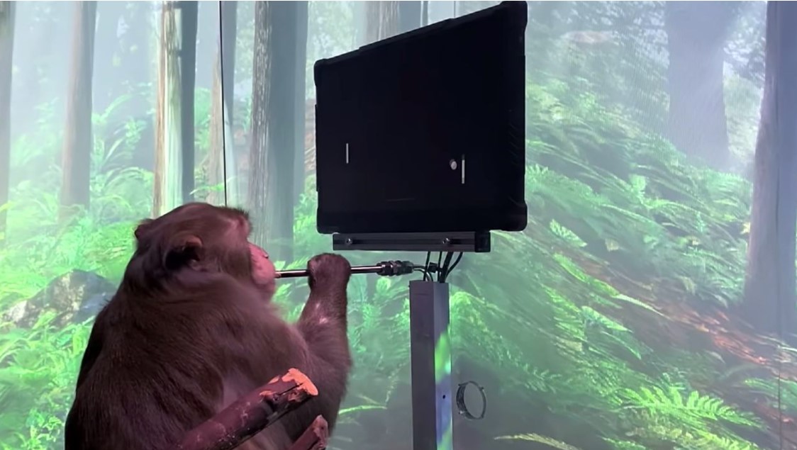 Elon Musk Experiment Monkey Neuralink Shows the Way to World