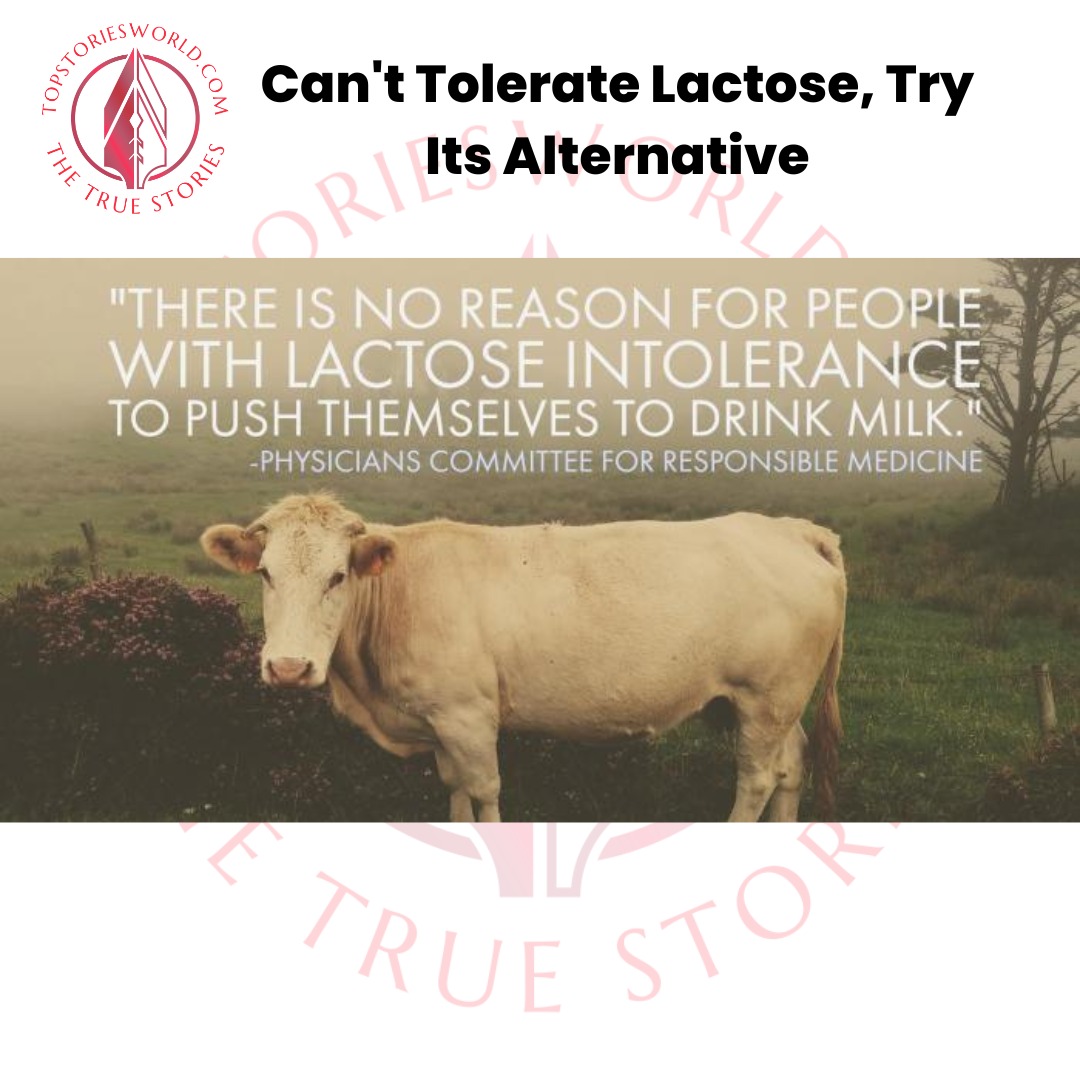 Tolerate Lactose