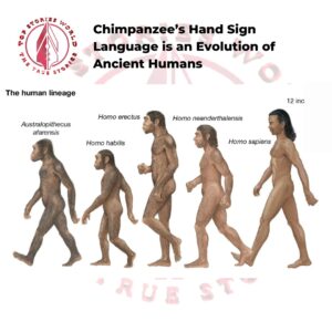 Chimpanzees Hand Sign
