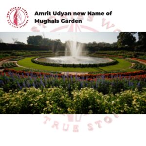 The Mughals Garden