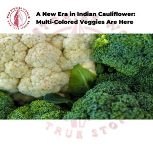 Indian Cauliflower
