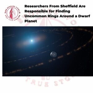 Researchers From Sheffield