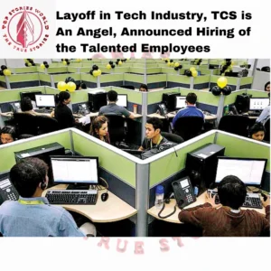 Layoff in Tech Industry