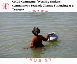 UNDP Comments